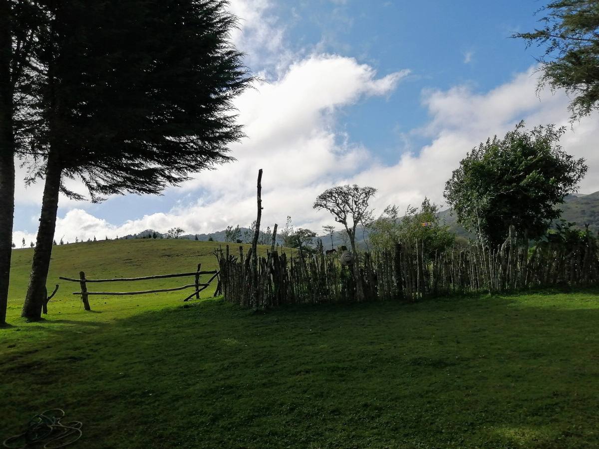 Pasto verde, un cerco de palos y árboles en un caserío de la sierra de Santa Cruz